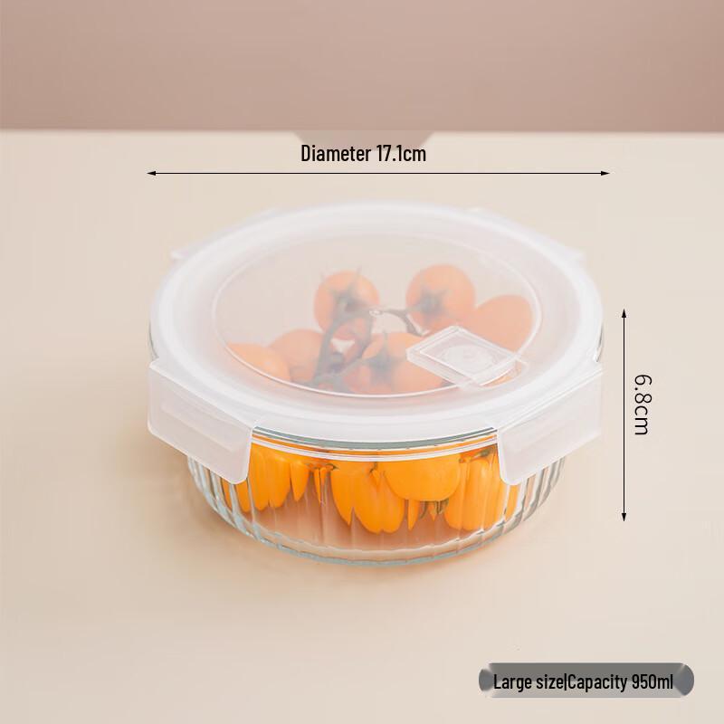 ZISIZ Glass Lunch Box