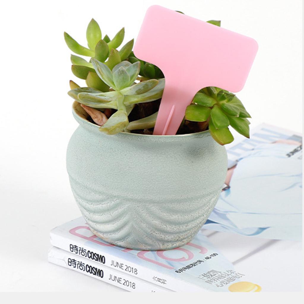 20PCS T Shape Garden Labels Thickening Garden Plant Tag Plant Classification Sorting Sign Tag
