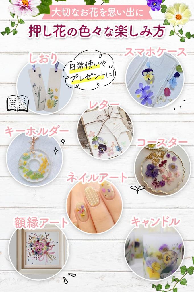 Yumeiro Kaden Pressed Flower Kit Pressed Flower Drying Sheet Set included for Craft materials 6 drying sheets 10 cushion papers Contains calcium