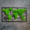 Picture - world map made of moss - 55cm x 33cm (4mm plywood)