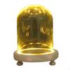 With Cork Base Decor Tabletop Bell Jar Cover Stand Glass Cloche for Showcase Countertop Office