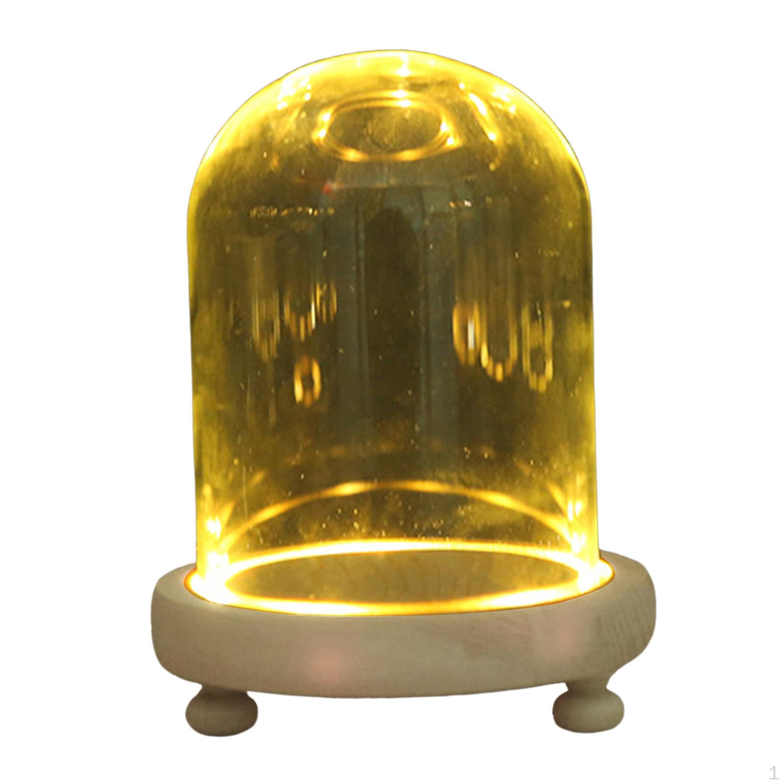 

with Cork Base Decor Tabletop Bell Jar Cover Stand Glass Cloche for Showcase Countertop Office 12cmx12cm