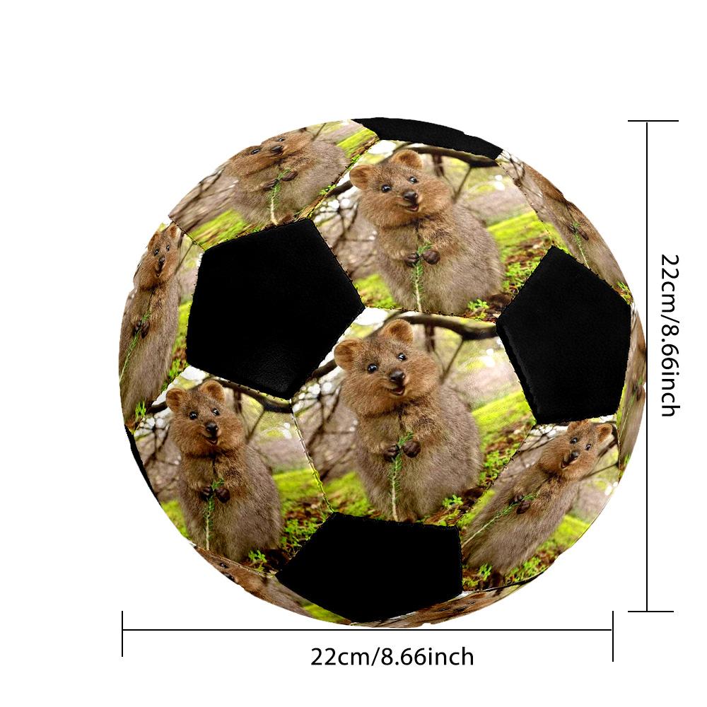 Customize Your picture Size 12 Soccer football Machine Sewn Indoor/Outdoor Training and Matches Personalized Soccer Ball
