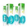 Nice Cool Chrysanthemum Toothpaste (2-Pack)