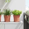 Flower Pots 6 Pcs Terracotta Red Ø 19 X 16 Cm Plastic