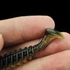 Artificial Soft Lures Worm Baits Wobbler  T Tail Soft Baits Paddle Tail Swimbaits Fishing Tackle Lures Enduring