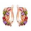Ear Buckle Crystal Zircon Fashion Rose Gold Earrings Zircon Ear Jewelry Earrings