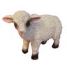 Lamb 4 Pcs Poly | SWB-15094