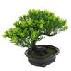 Emulated Bonsai Pine Tree Plastic Material Artificial Plant Simulation Tree Realistic Indoor Home Decoration Simulation Plant