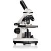 Microscope Biolux Nv