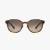 Sunglasses (SF2098SLBK 242 53)