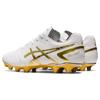 Asics Ds Light Series Round Toe Lace-Up Ag (Rubber Short Stud) Synthetic Leather Soccer Shoes Men Soccer Shoes White Platinum 1103A069-122