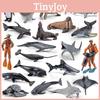 Realistic Pvc Orca Devil Fish Sea Lion Penguin Dolphin Ocean Animal Diver Model Set