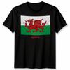 Wales Cymru Welsh Flag Unisex Tshirt Patriotic Welsh Pride Apparel