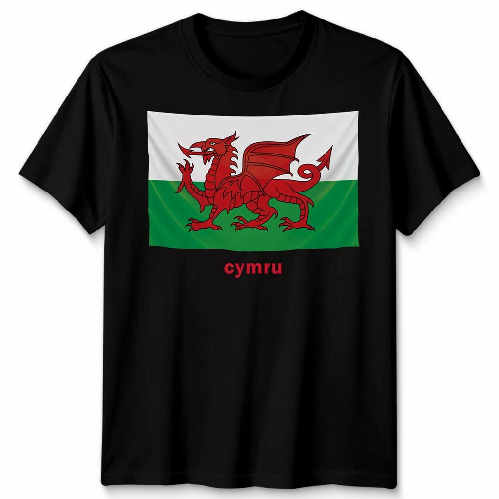 Wales Cymru Welsh Flag Unisex Tshirt Patriotic Welsh Pride Apparel