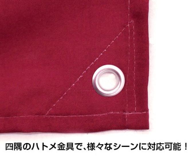 COSPA Mobile Suit Gundam Zeon Militärflagge Ca.. 90 x 64 cm