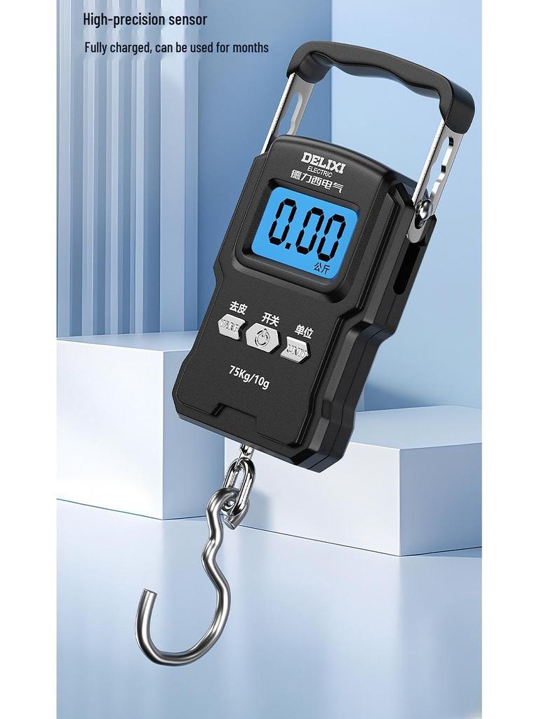 Delixi Electric Portable Handheld Precision Scale for Household Use