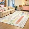 Large Area Living Room Decoration Carpet Thick Plush Rugs for Bedroom Fluffy Soft Lounge Floor Mat Dopamine Color Cloakroom Rug