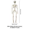 Skeletons Halloween Decorations Posable Skeleton Movable Joint Full Body Realistic Skeleton Spooky Human Bones Halloween