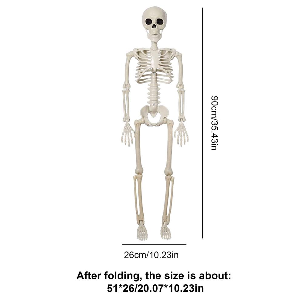 Skeletons Halloween Decorations Posable Skeleton Movable Joint Full Body Realistic Skeleton Spooky Human Bones Halloween