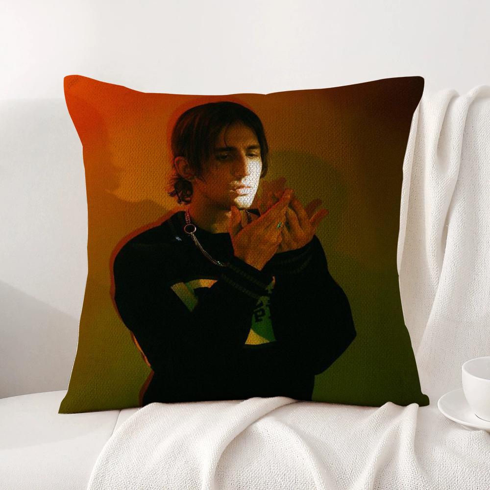 Singer Porter Robinson Pillow Case Natural Linen Organic Fabric Double-Sided Printing Breathable Perfect Gift For Decor