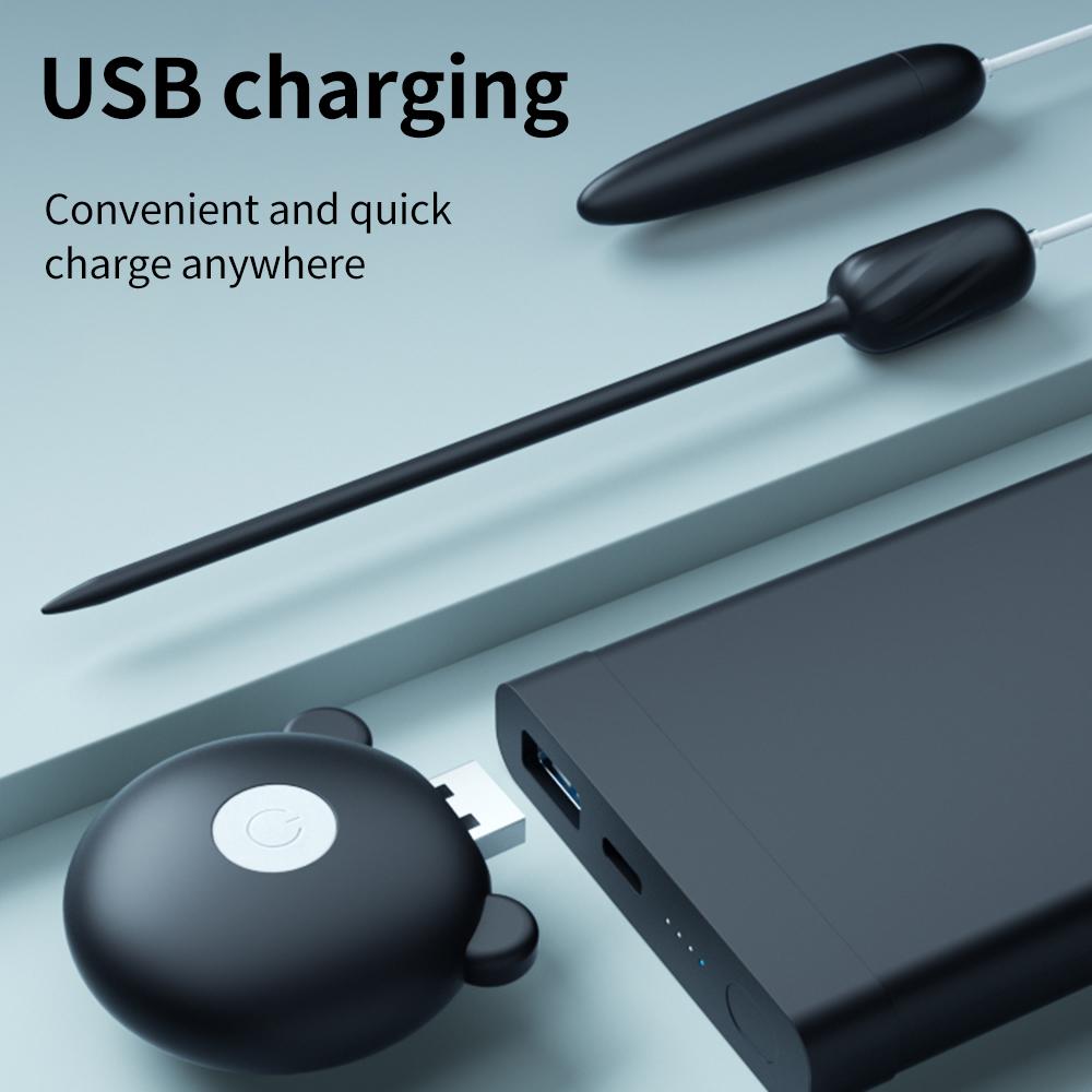 10 Speeds Urethral Catheter Penis Vibrator USB Vibrating Urethra Plug Urethra Stimulator Cock Sounding for Men Penis Insert Sex