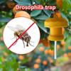 1/2PCS Hanging Fruit Fly Trap Killer Garden Insect Pest Control Drosophila Killer Tools Fruit Fly Catcher For Home Garden Farm V