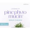 MISSHA Layering Fit Pine Phyto Mucin Serum Cushion - 2 Colors