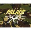 Palace Shocking Behaviour T-Shirt Woodland Camo Unisex Tops Multi-Color P25TS037