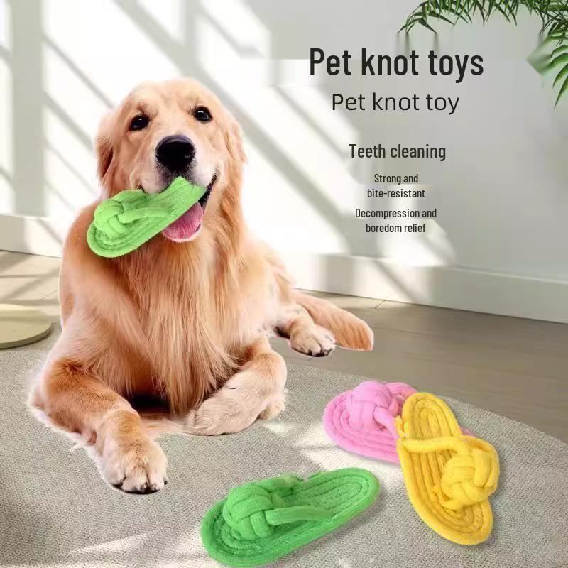 Kousání odolná uzlová hračka z lana pro malé až střední rasy - Hra ve tvaru kosti pro Teddyho a bišonka