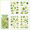 Fresh Cute Style Fruit Stickers Kawaii Style Creative DIY PET Stickers Fruit Theme Decorative Stickers Flat Stickers