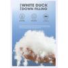 Down Jacket Men, White Duck, Winter Coat, Windproof, Warm, Parkas, Travel Camping, Overcoat, New In, Thicken, Solid Color, Hooded, Clothing