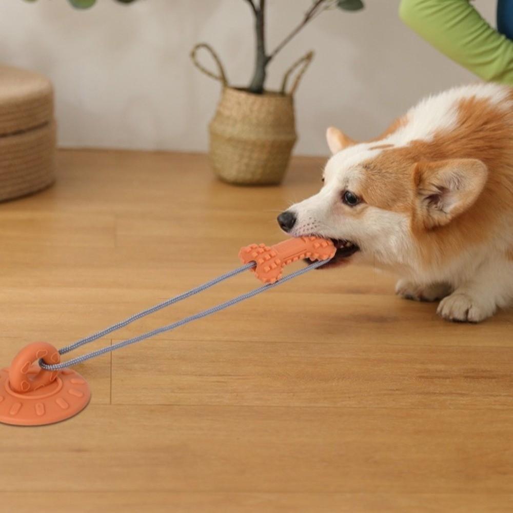 Bite-Resistant Dog Suction Cup Toys Wear-Resistant Pet Interactive Toy  Interactive