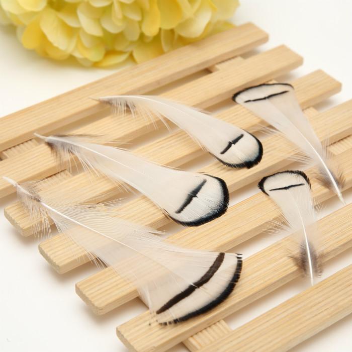 50Pcsdiy Jewelry Accessories Feather Diy Feather Headdress Corsage Hat Shoes Handicrafts Decorative Materials