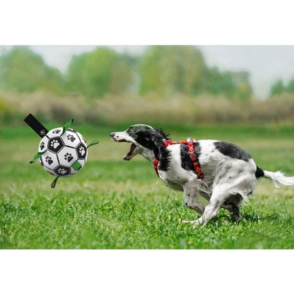 Ding Dong Pet Pet Dog Tap Soccer Ball Toy, Mixed Colors, 1 Set