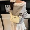 Niche design bag women's new popular shoulder underarm bag high-end versatile messenger bag