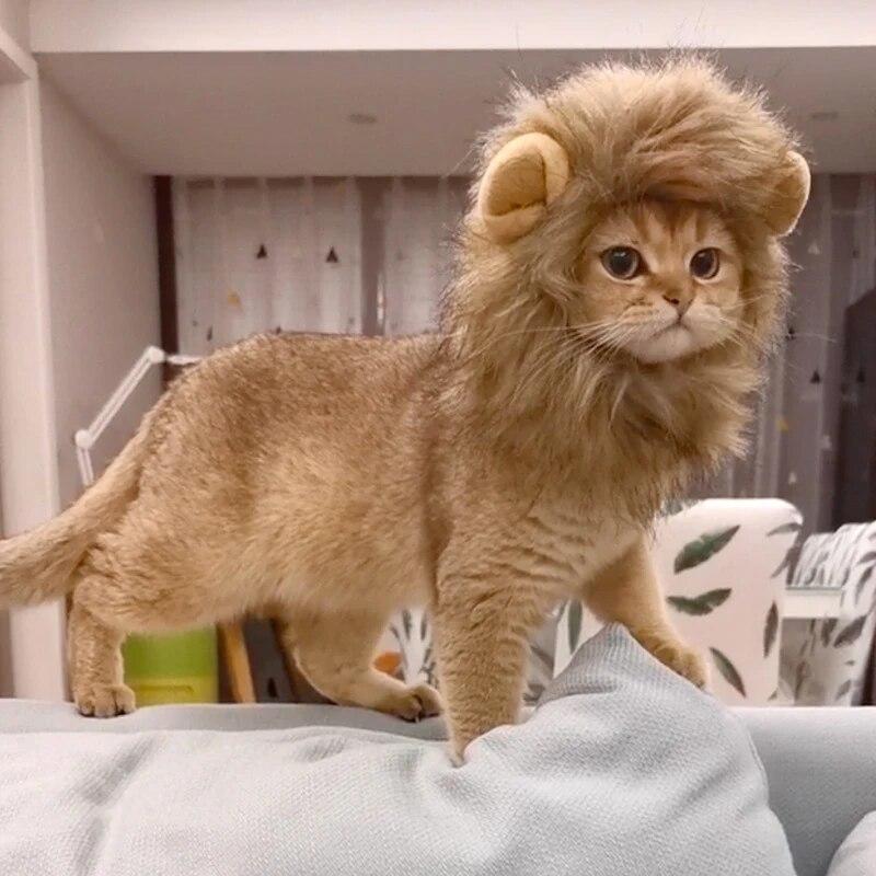 Cat Cosplay Dress Up Pet Hat Cute Lion Mane for Cat Puppy Lion Wig Costume Party Decoration Halloween Christmas Gatos Costume Cosplay Toy Pet Supplies