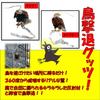 ST TS Bird Repellent, Realistic Eagle, Raptor, Owl, Sparrow, Pigeon, Crow, Bird Pest Control, Balcony, Garden, Field (Type 2x2)