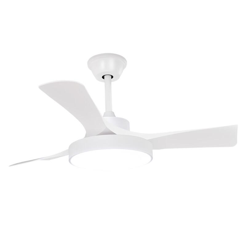 Oeny Full Spectrum Ceiling Fan with Light