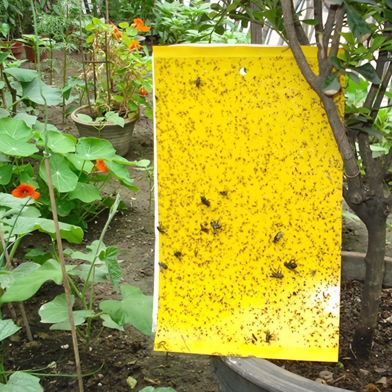 Double-sided Insect Sticky Device Can Quickly Catch All Kinds of Flying Insects, Insect Trap Board for Catching Small Flying Insects