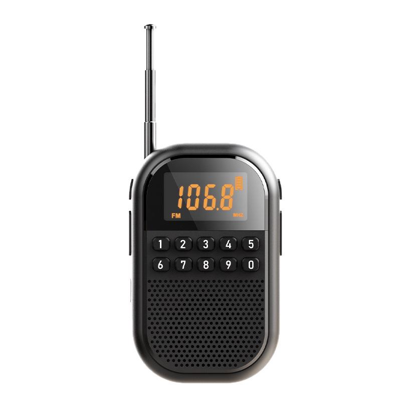Mini Bluetooth Rechargeable FM/AM Radio with Card Slot
