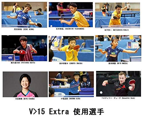 TSP Tischtennisbelag V>15 Extra 020461 0020 2.0