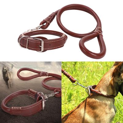 Coleiras de couro para cães de estimação, coleira com etiqueta de chumbo ajustável para cães pequenos, médios e grandes, pitbull, bulldog, pugs, beagle
