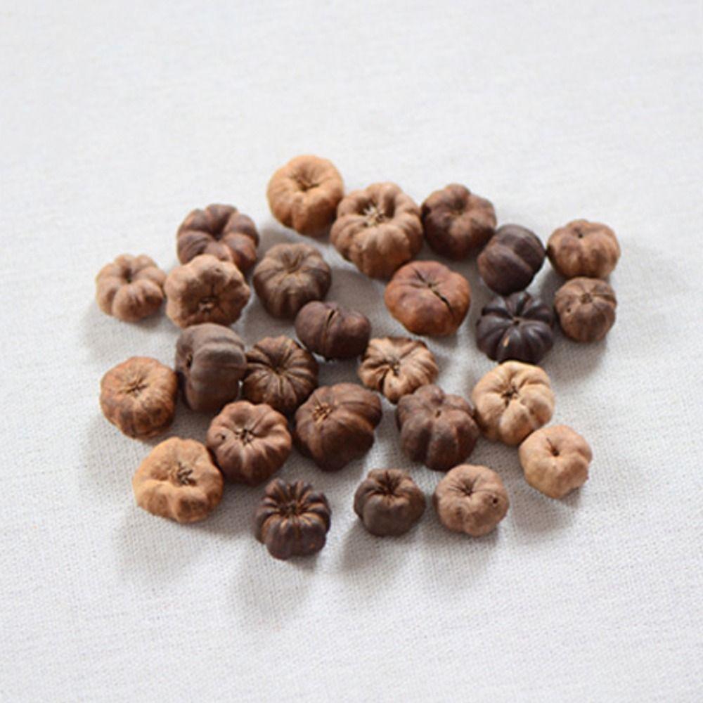 15pcs Dried Vegetables Dried Mini Pumpkins Dried Fruit Halloween Mini Pumpkins  Party Decoration