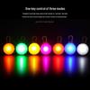 LED Pet Luminous Pendant - Flashing Dog Tag for Night Walks
