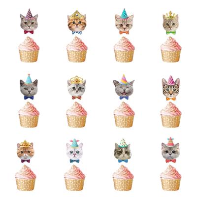 Cake Topper Cake Topper Decorations Cake Toppers Cupcake Decorations For Birthday Party Cupcake Toppers