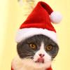 Pet Hat Cat Headgear Lion Rabbit Ear Dog Hat Costume Pet Accessories Small Dog Pet Supplies Wholesale
