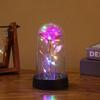 Eternal Rose LED Light Foil Red Artificial Flower in Glass for Girlfriend Wedding Party Supplies Valentine's Day Christmas Gifts