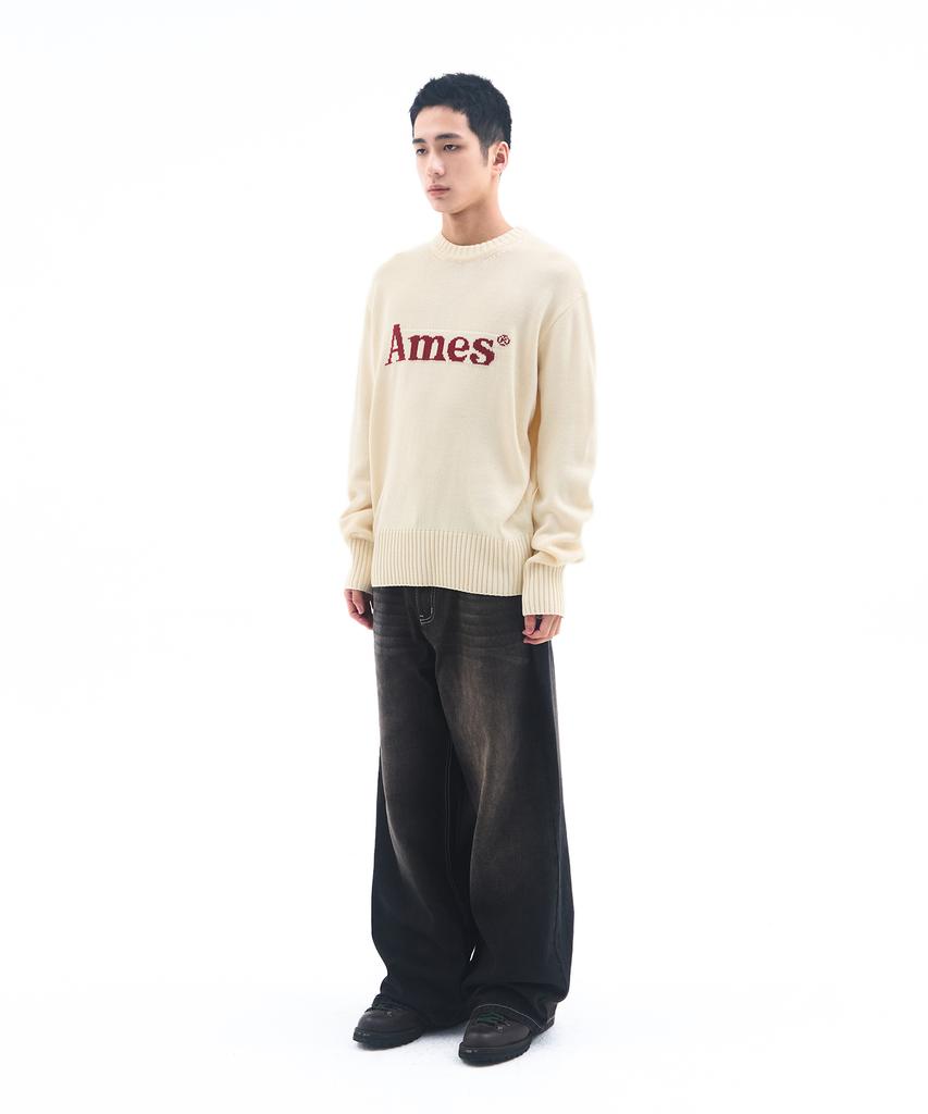 AMES-WORLDWIDE Basic Pullover Knit Ivory
