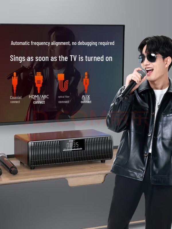 Sansui Home KTV Karaoke Audio System